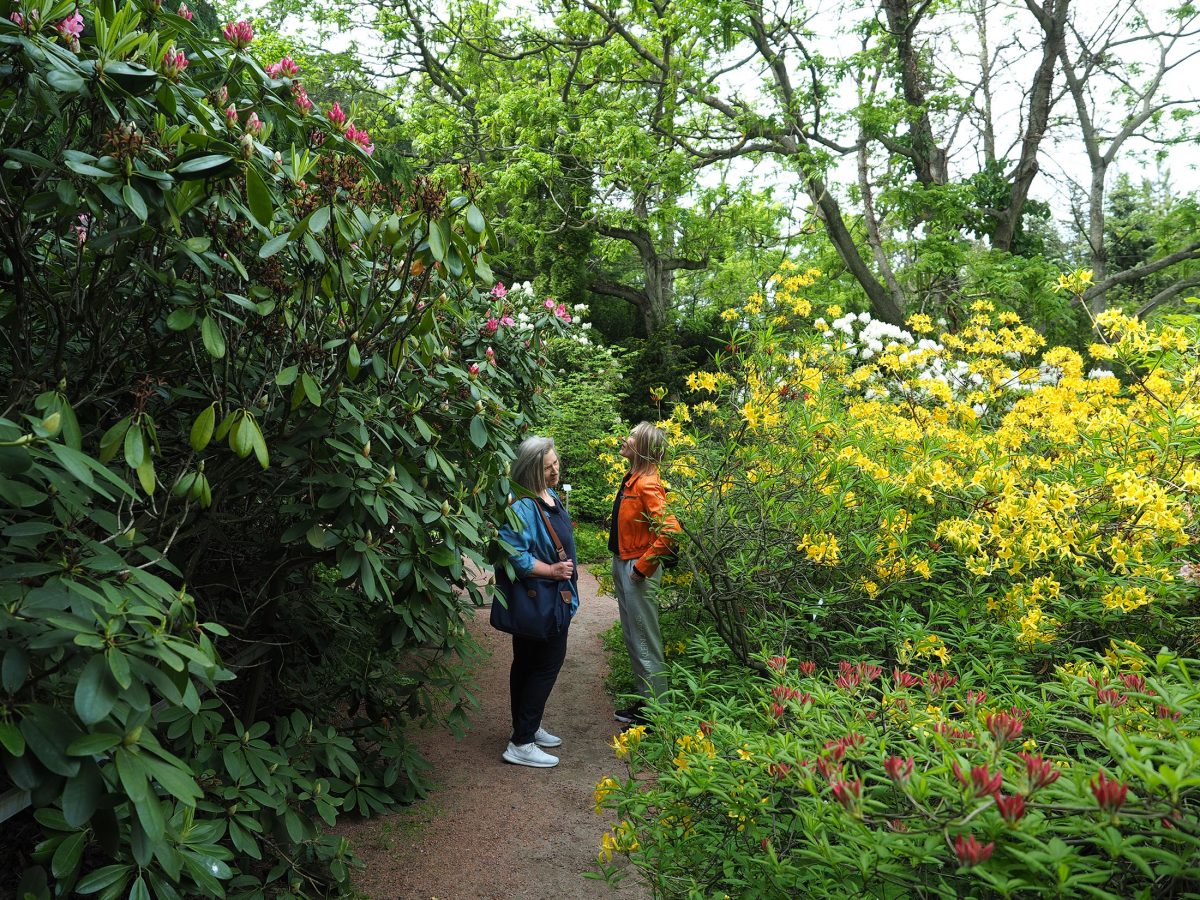 Kaisaniemi Botanic Garden - Discovering Finland