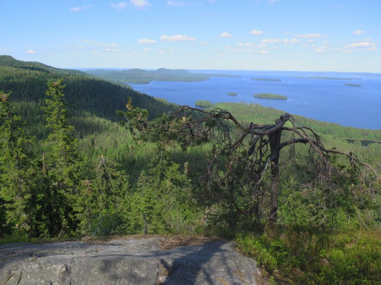 Koli National Park Koli - Discovering Finland