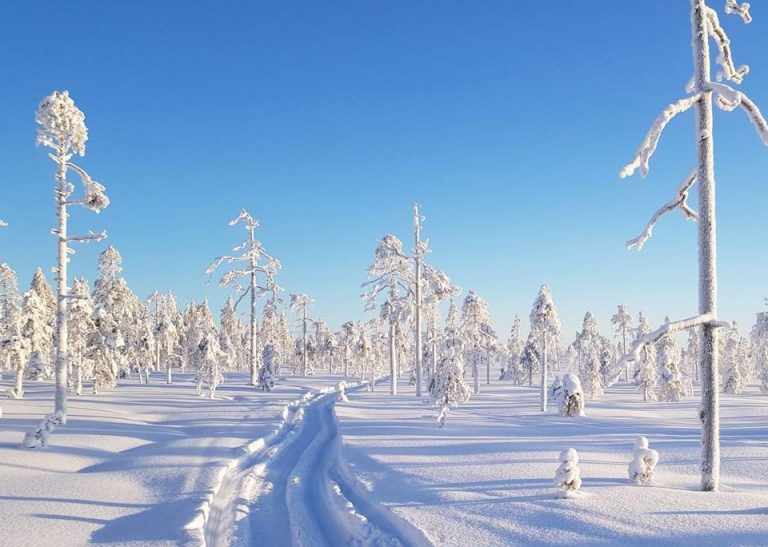 Arctic Lifestyle Rovaniemi - Discovering Finland