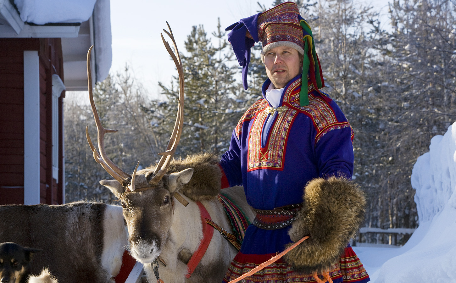 Саамы. Саамы лопари. Саамская Лапландия. Лопари народность саамы. Саамы лопари Финляндии.