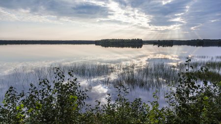 Ranua Wildlife Park - the most northern zoo in Finland - Discovering ...