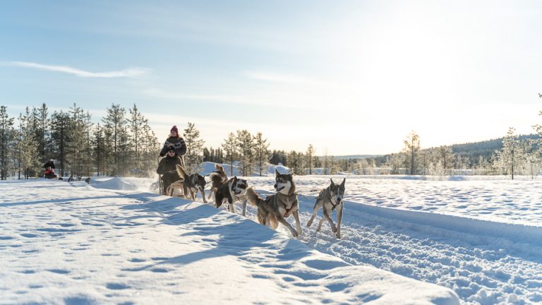 Ylläs - Top Travel Destination for All 8 Seasons - Discovering Finland