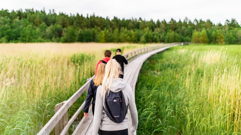 Summer In Pori - The Best Attractions And Activities - Discovering Finland